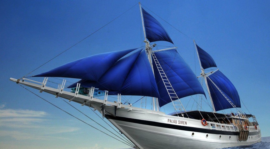 揚帆出海！居然之家數(shù)字化新征程